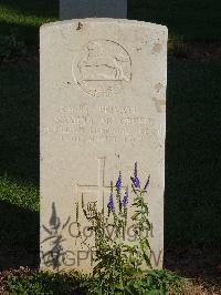 Salonika (Lembet Road) Military Cemetery - McCreedy, Samuel